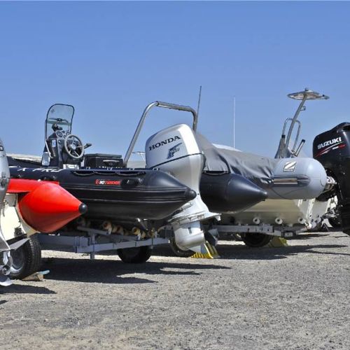 camping-perroquet (62).jpg