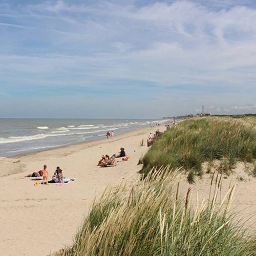 camping-perroquet (70).jpg