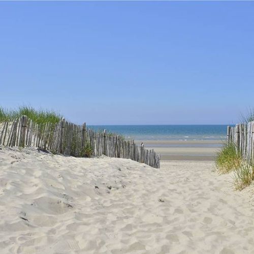 camping-perroquet (55).jpg