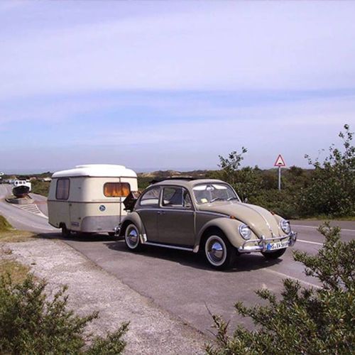 camping-perroquet (38).jpg