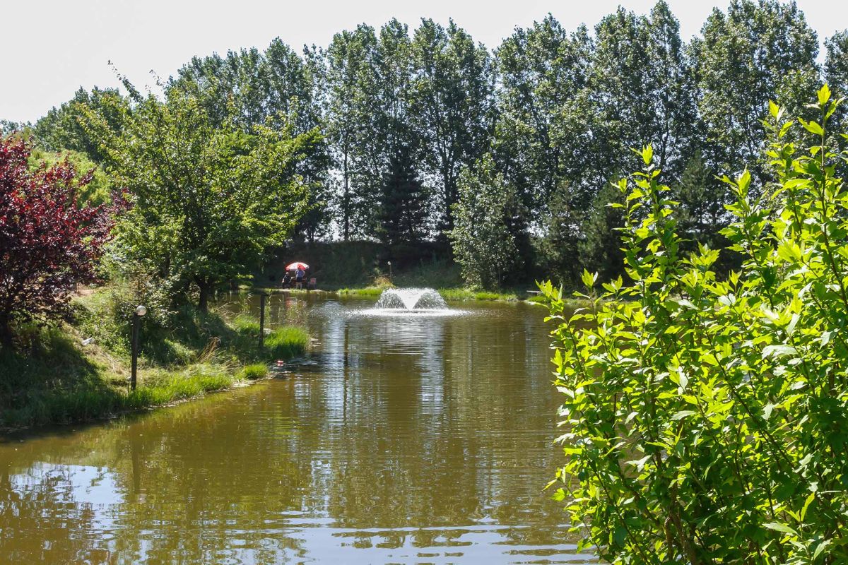 Photo du Camping PRL de la Hooghe Moote - Nord 59
