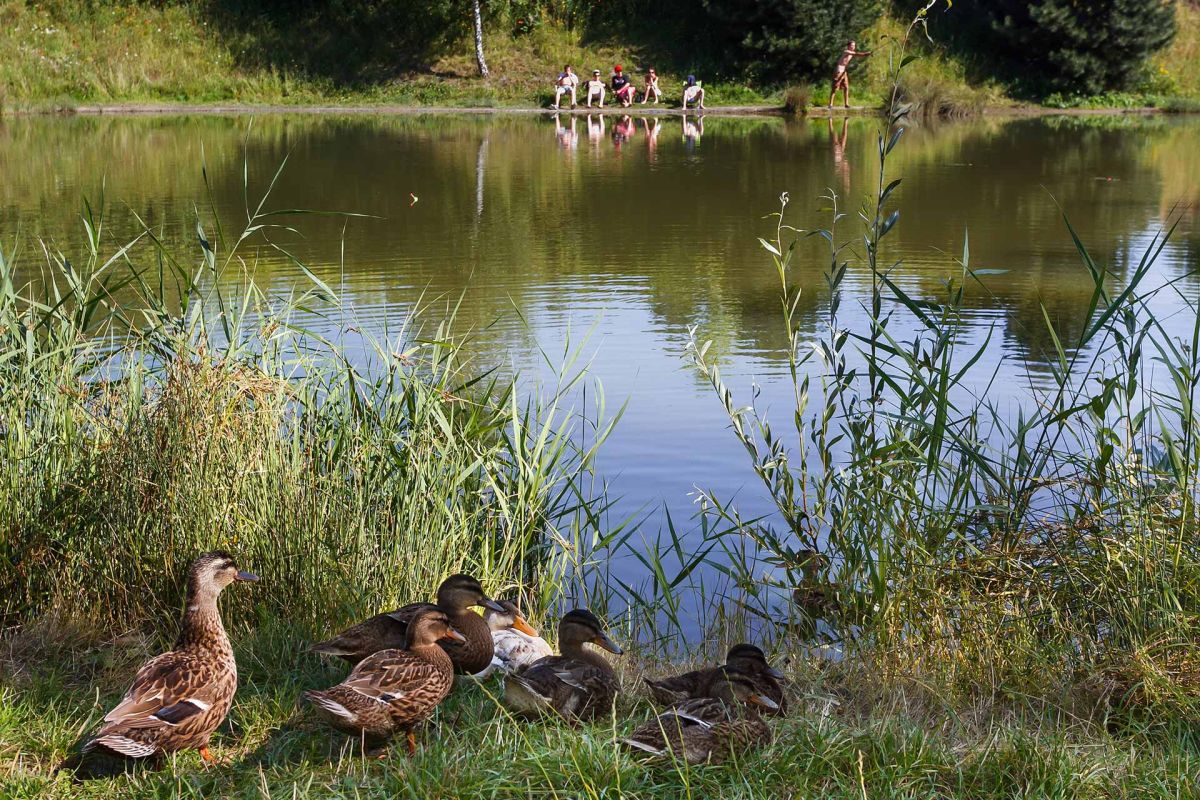 Photo du Camping La Ferme de la Hooghe Moote - Nord 59