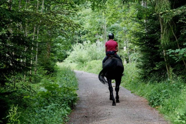 Balade à cheval