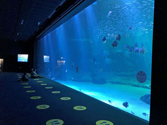 Nausicaá proche de : Camping Cristal d'Opale