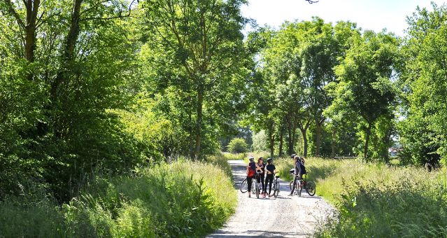Circuits vélo et randonnées