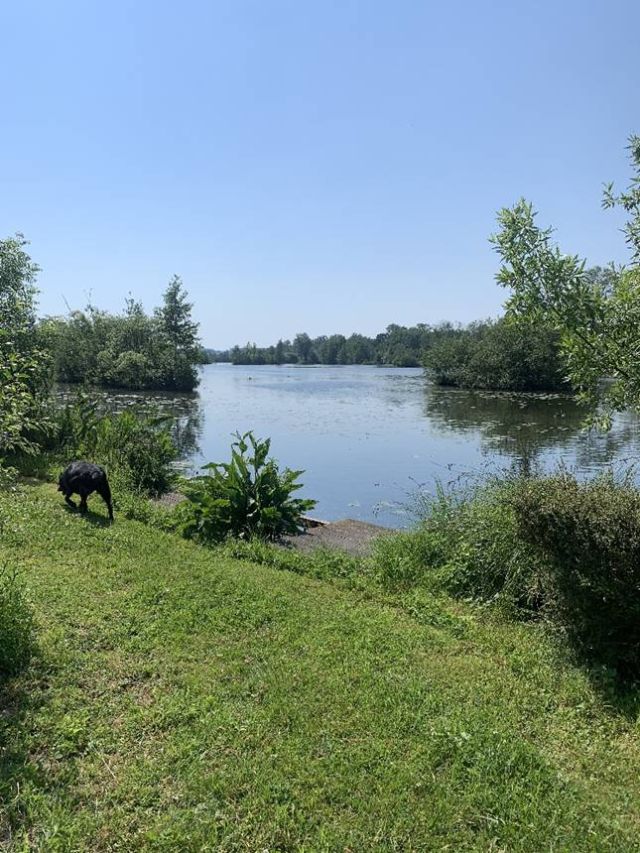 Photo du camping : Camping Les Rosiers - Somme