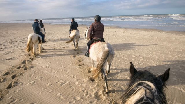Balades à cheval sur la plage