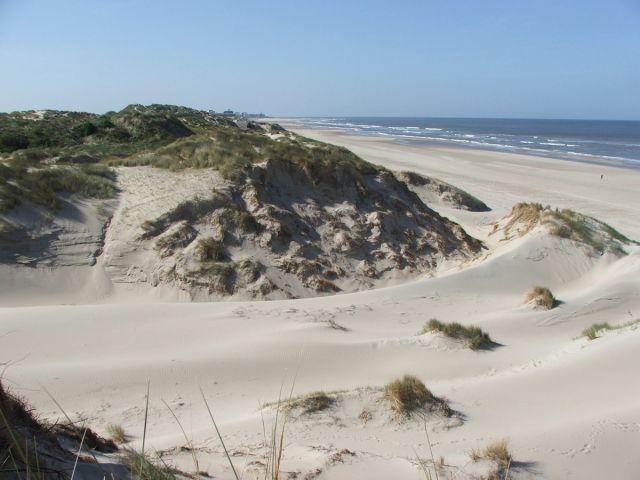 Dunes et plage de Merlimont proche de : Domaine de La Pinède