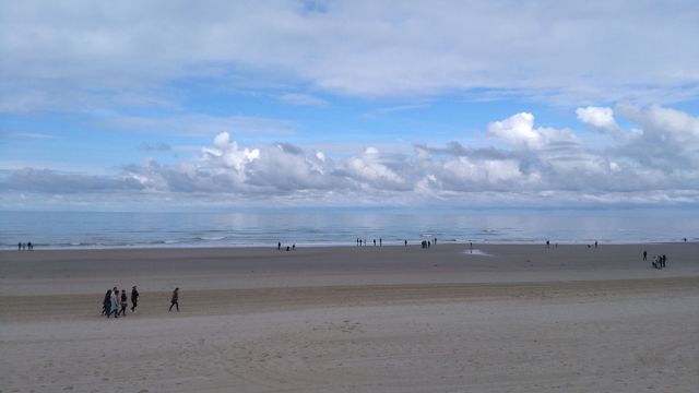 Plage du Touquet proche de : Domaine de l'Abri-Côtier