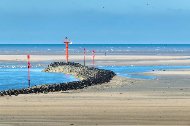 Réserve naturelle nationale de la Baie de Canche proche de : Domaine de l'Abri-Côtier