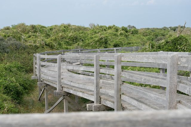 Réserve naturelle du Platier d'Oye proche de : Camping de La Plage