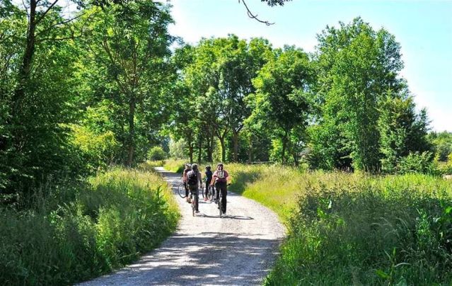 Camping de La Motte