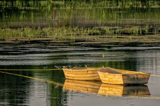 Canoë kayak