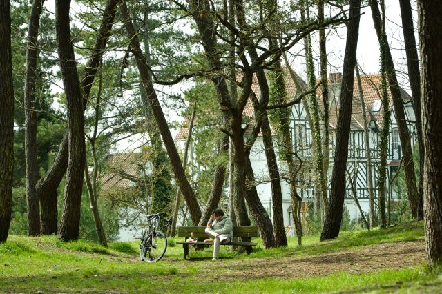 Forêt du Touquet