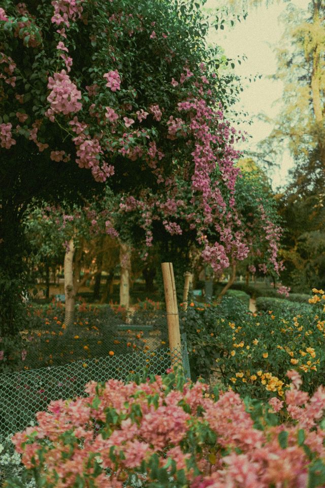 Jardin des Lianes proche de : Domaine Verte Vallée