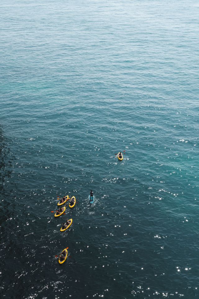 Des sorties encadrées en kayak de mer