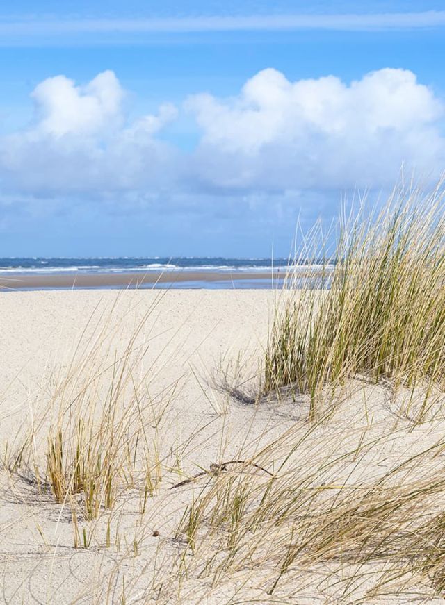 Campings en bord de mer