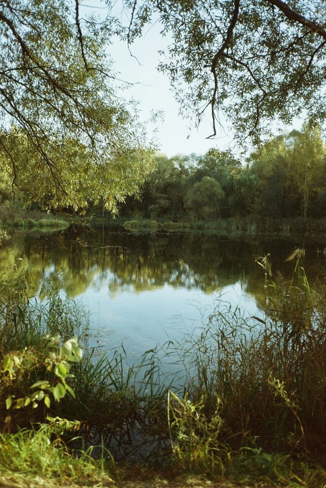 L'étang des Dryades proche de : Camping de La Plage