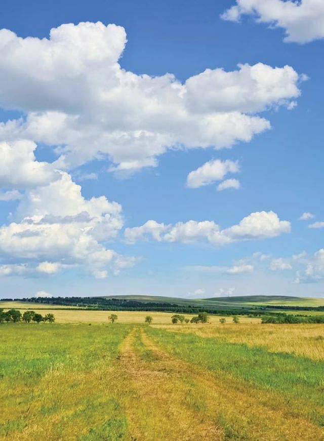 Campings à la campagne